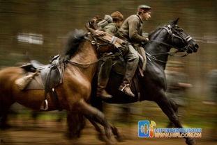 《戰(zhàn)馬》電影在線觀看,跨越時(shí)空的傳奇，見證生命的堅(jiān)韌與勇氣